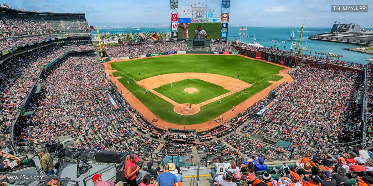 潮流周边,释放运动态度!🎽